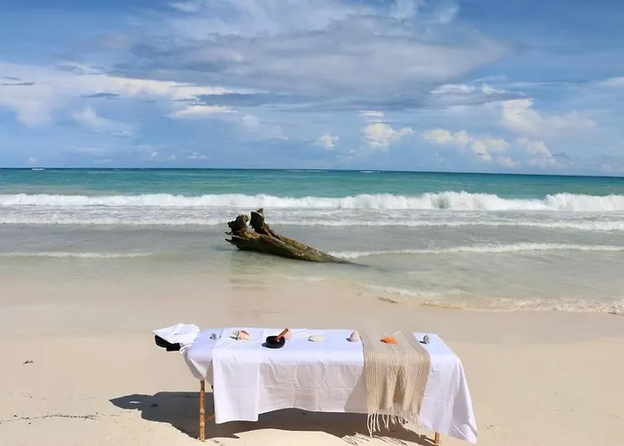 Casa Phoenix Private Beachfront Estate 7 *
